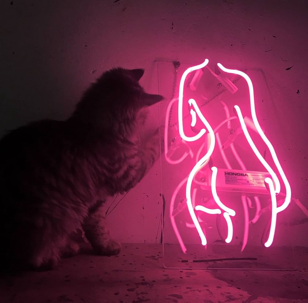 Amazon | ネオンサイン SEXY LADY NEON SIGN ネオン看板 ネオン管