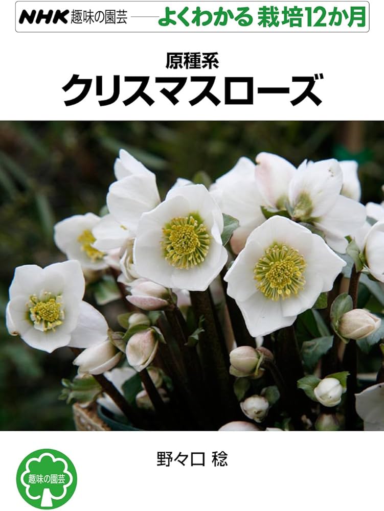 原種系クリスマスローズ (NHK趣味の園芸 よくわかる栽培12か月