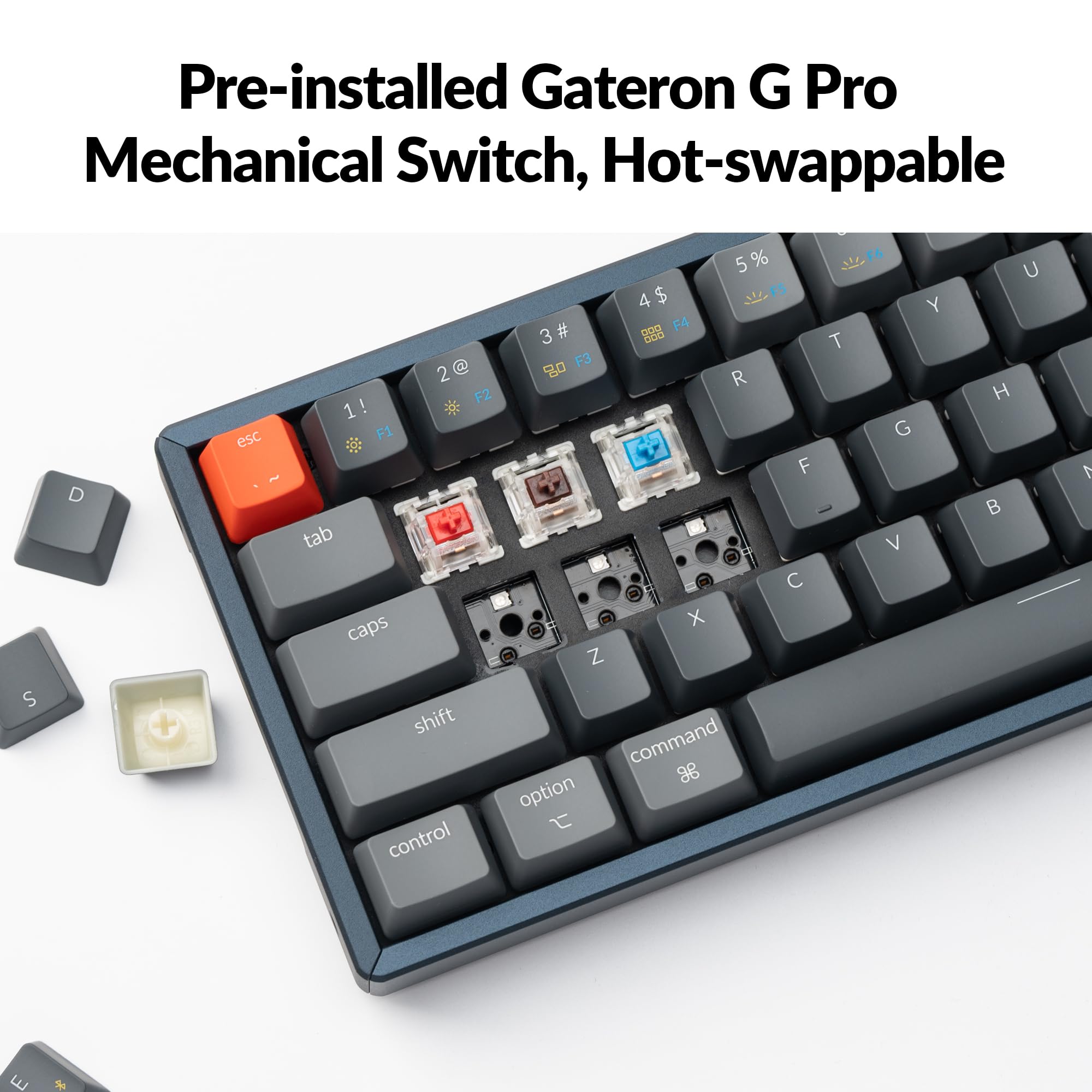 Amazon.com: Keychron K12 Wireless/Wired Mechanical Keyboard with