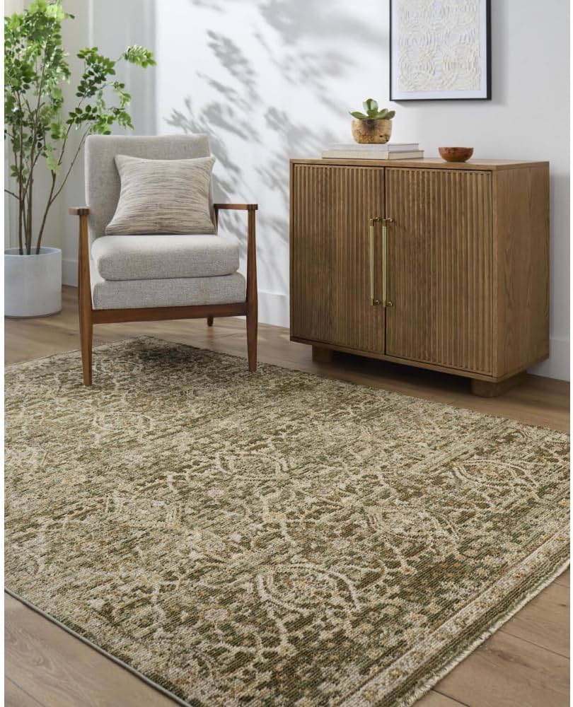 Amazon.com: Livabliss x Galey Alix Myrtle Avenue VI Vintage