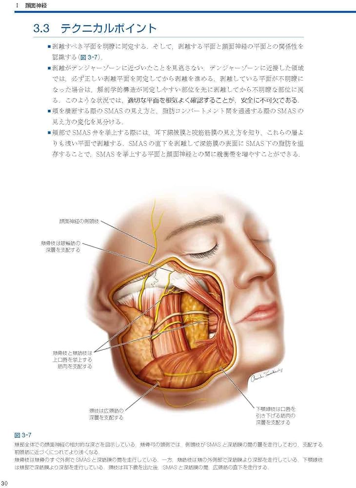 Facial Danger Zones 日本語版（フェイシャルデンジャーゾーン）［Web