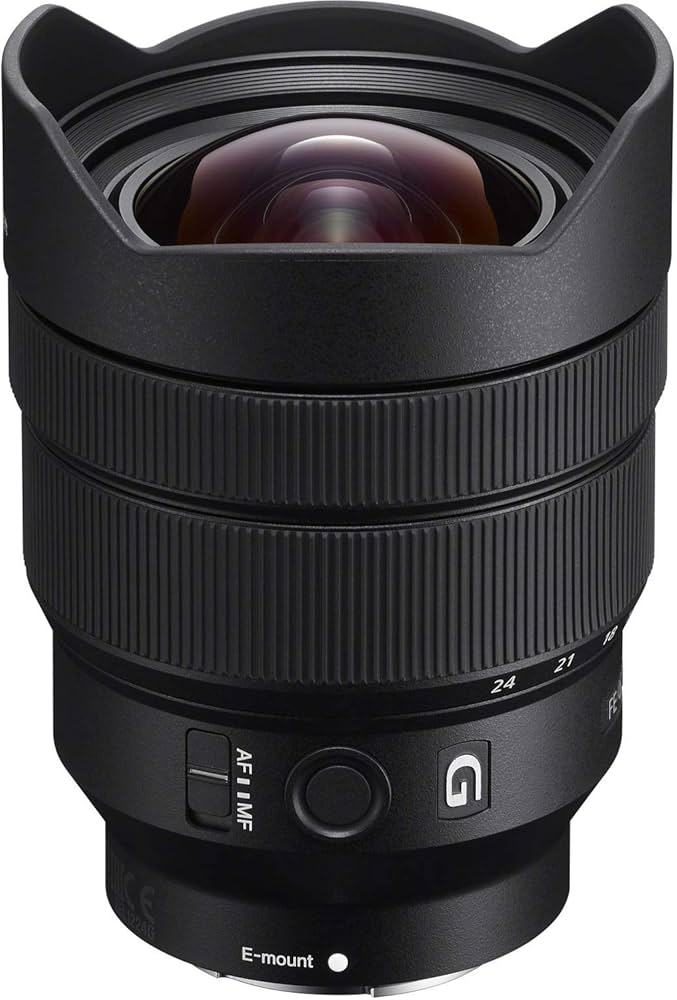 Sony SEL1224G 12-24mm f/4-22 Fixed Zoom Camera Lens, Black : SONY