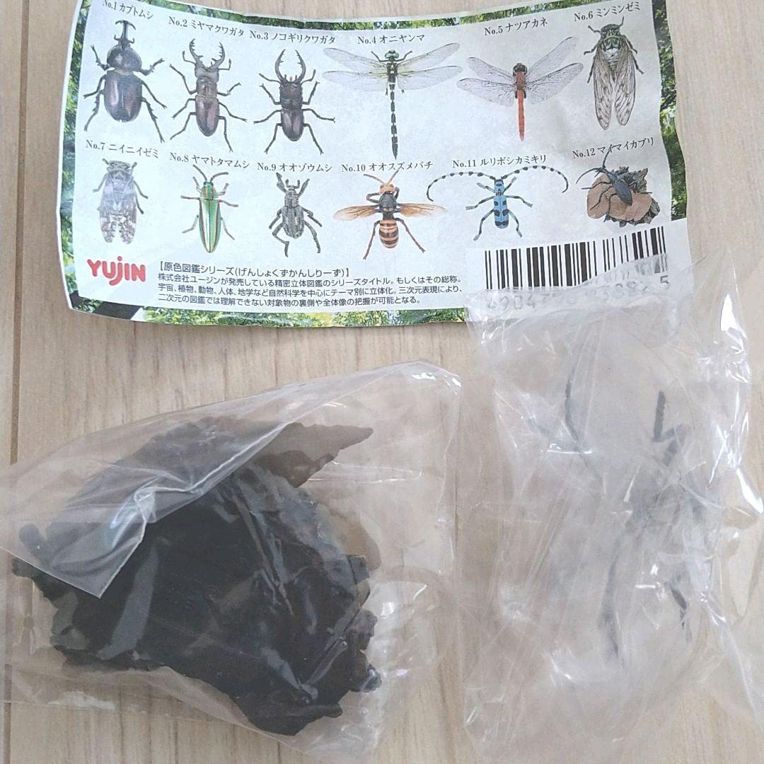 Amazon.co.jp: ユージン 原色日本昆虫図鑑 Ⅰ シークレット