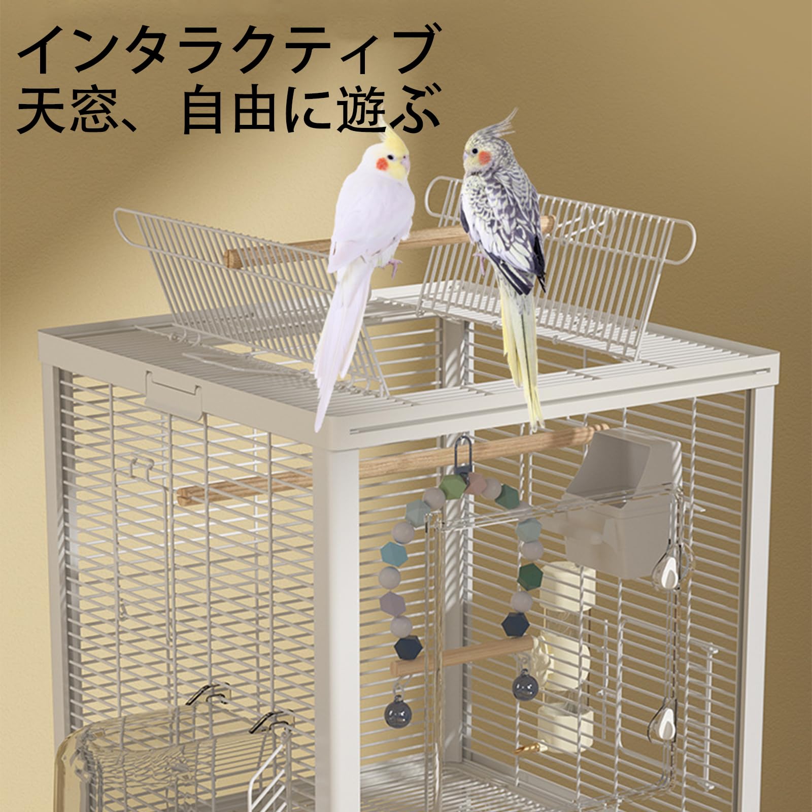 Amazon | Ruexue 鳥かご 透明アクリル製ドア＆多機能拡張口 文鳥