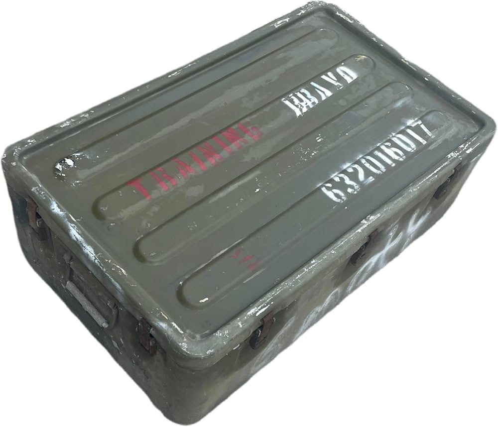 71oxd2C7lBL._AC_UF1000,