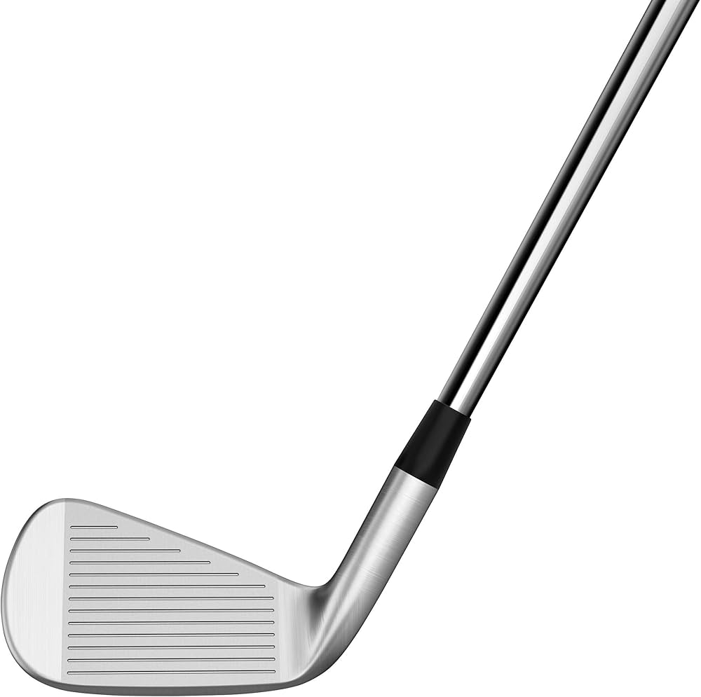 Amazon.co.jp: TAYLOR MADE(テーラーメイド) P770 アイアン N.S.PRO