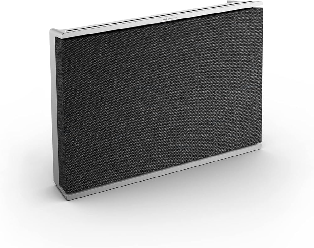 Amazon.com: Bang & Olufsen Beosound Level Portable Wi-Fi Multiroom