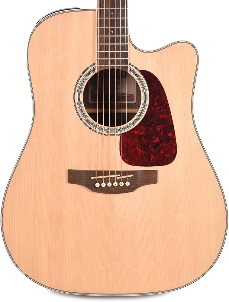 Amazon | Takamine タカミネ G Series GD71CE Dreadnought Cutaway