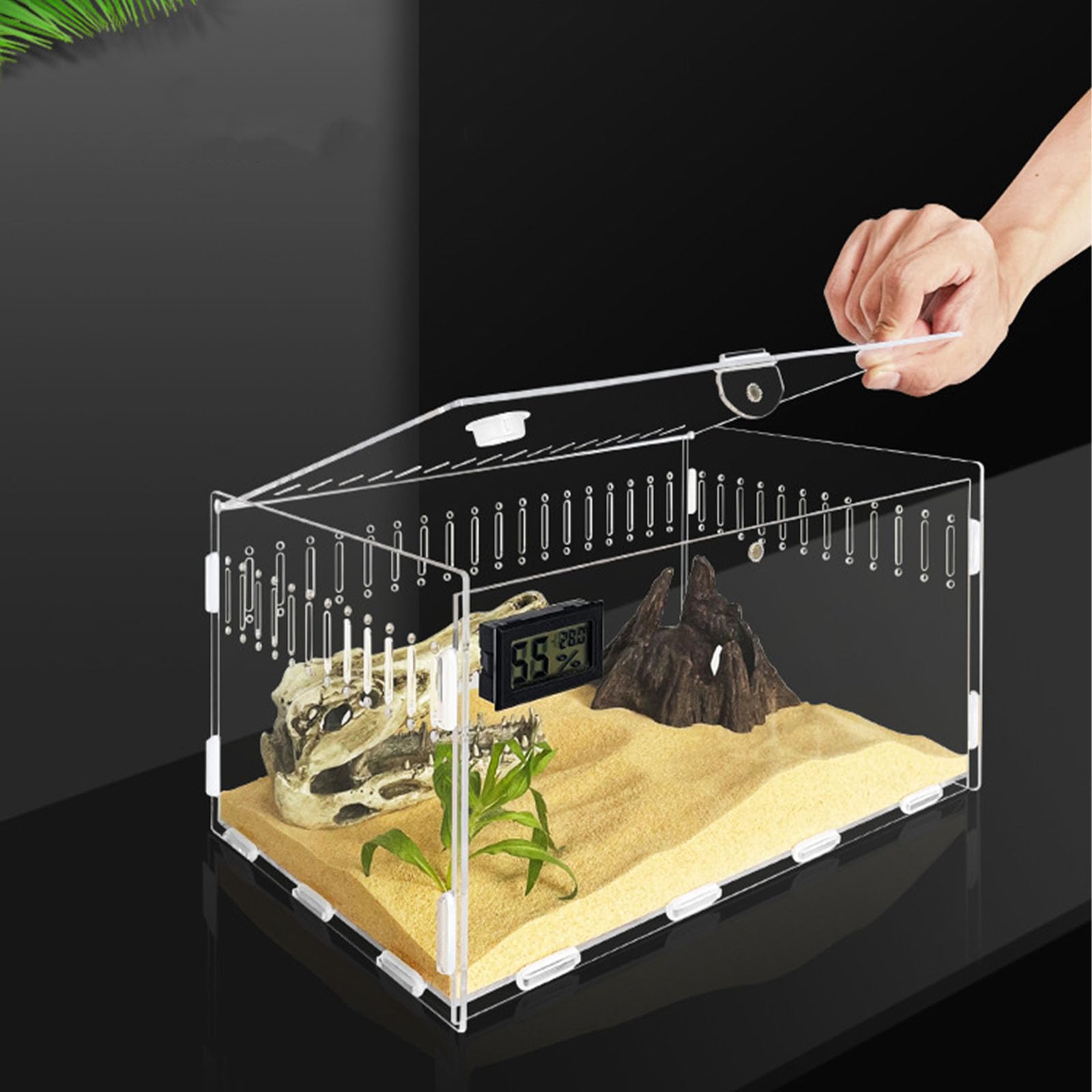 Amazon | 爬虫類 ケージ トカゲ ケージ カナヘビ飼育ケース レプタイル