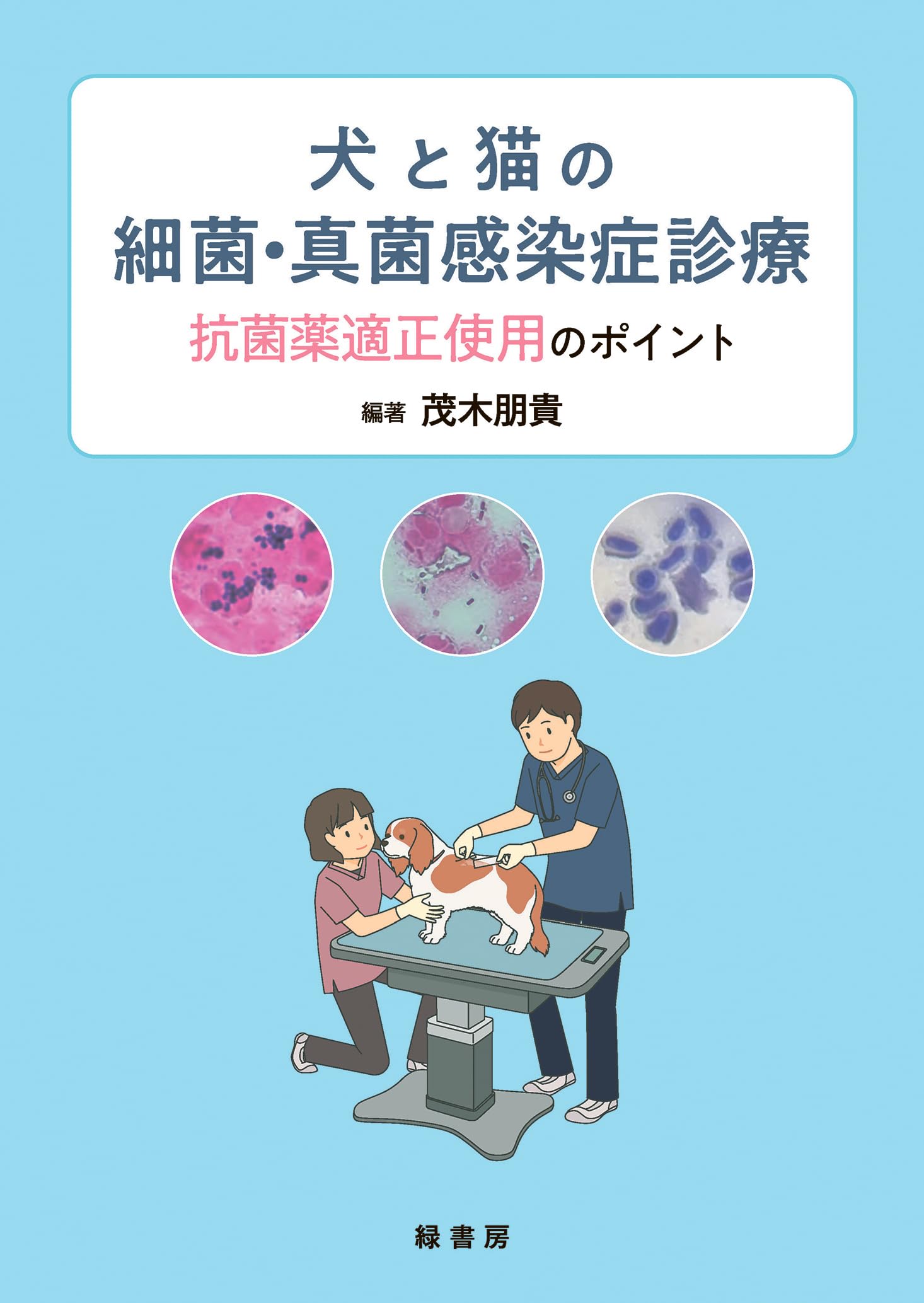 犬と猫の細菌・真菌感染症診療:抗菌薬適正使用のポイント | 茂木 朋貴