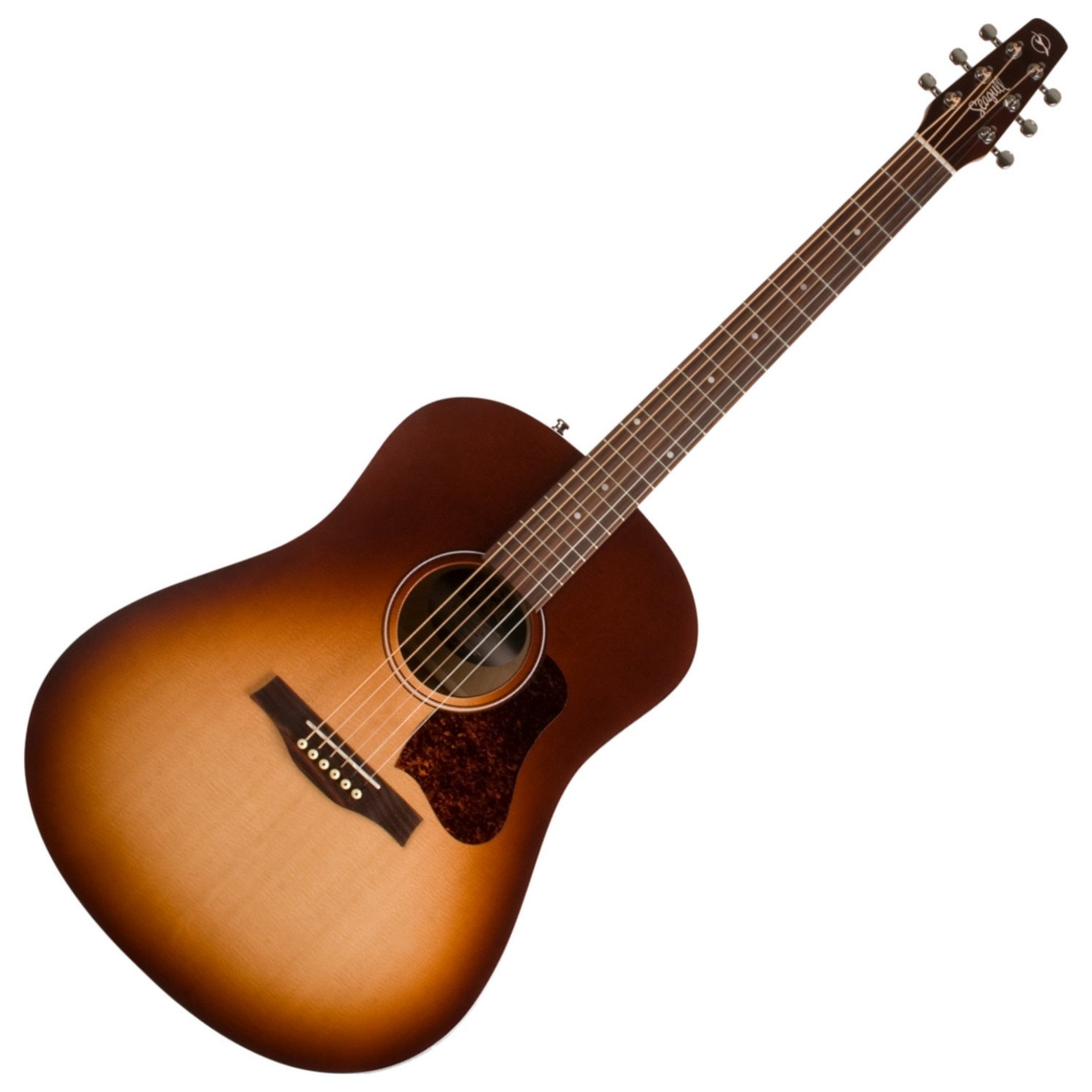 Amazon.com: Seagull Entourage Autumn Burst CW 6-String Acoustic