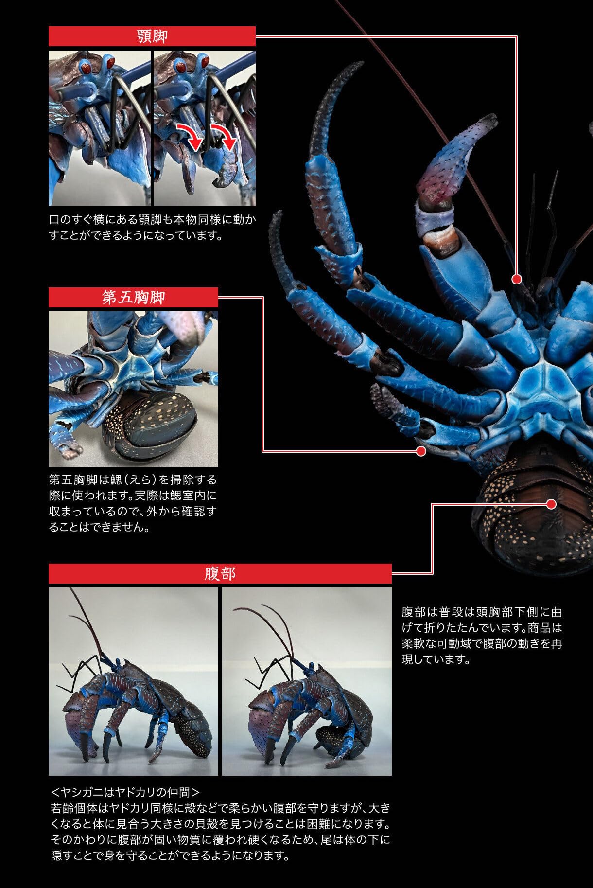 Amazon.co.jp: いきもの大図鑑プレミアム ヤシガニ : おもちゃ