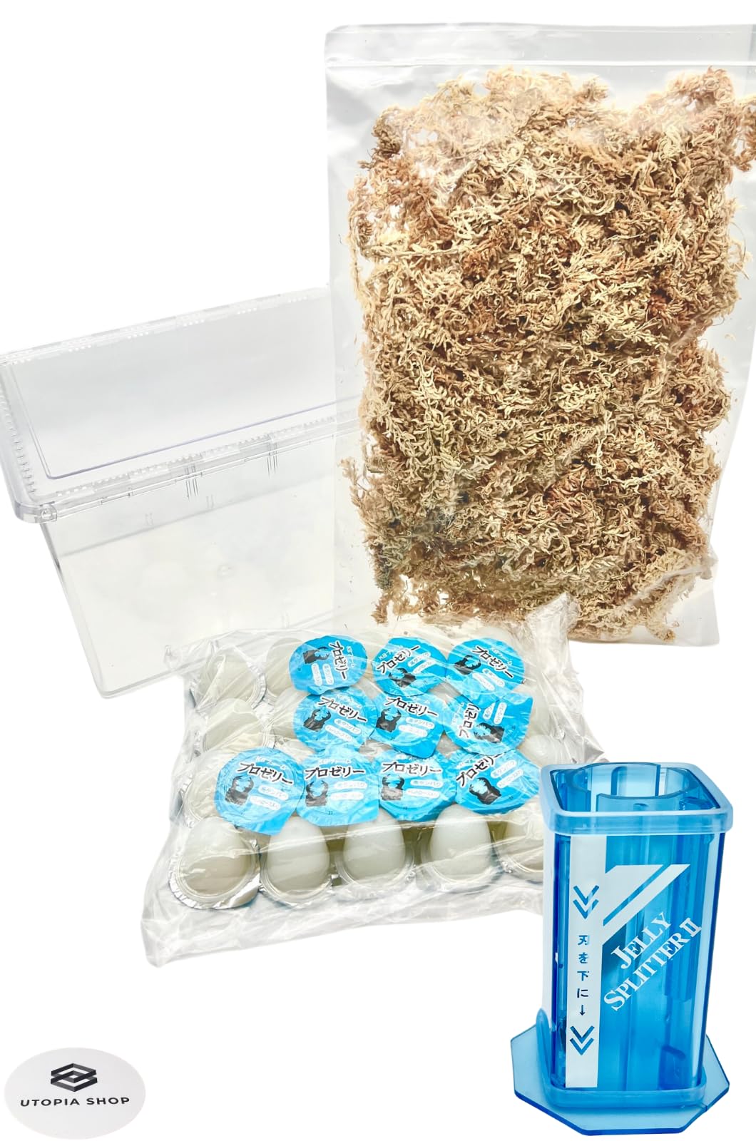 Amazon.co.jp: カブトムシ／クワガタ育成キット 4点セット クリア