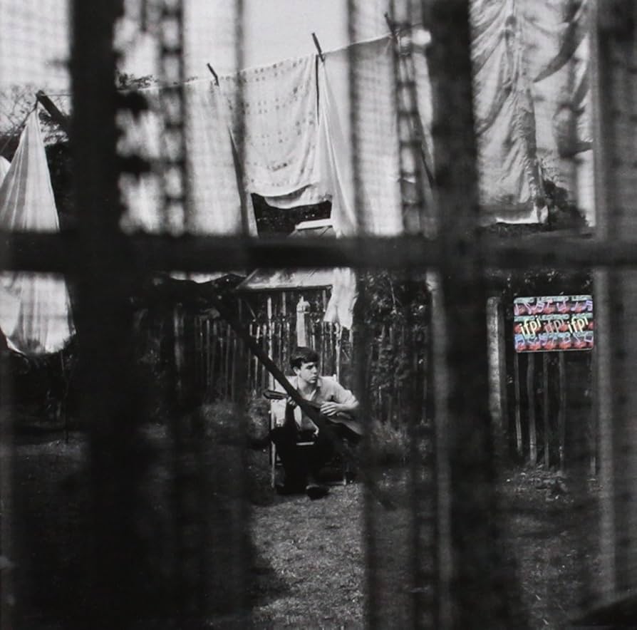 Amazon.co.jp: Chaos & Creation in the Backyard: ミュージック