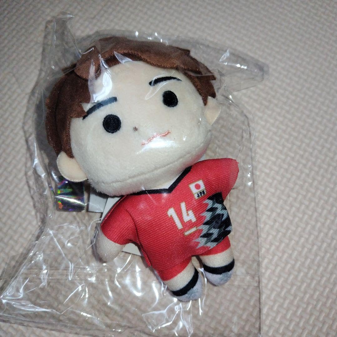 Amazon.co.jp: バレーボール男子日本代表ぬいぐるみキーホルダー 石川