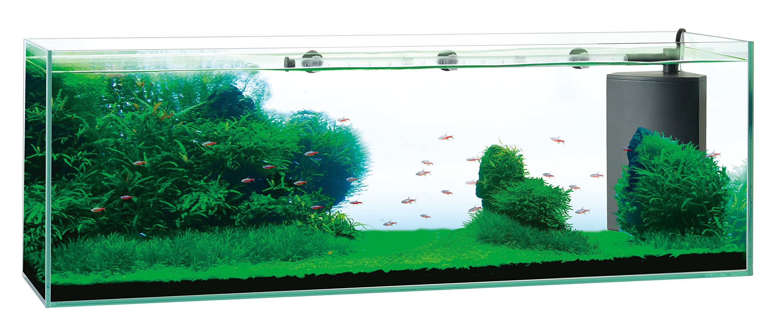 Amazon | ジェックス GEX AQUARIUM グラステリアサイレント900スリム