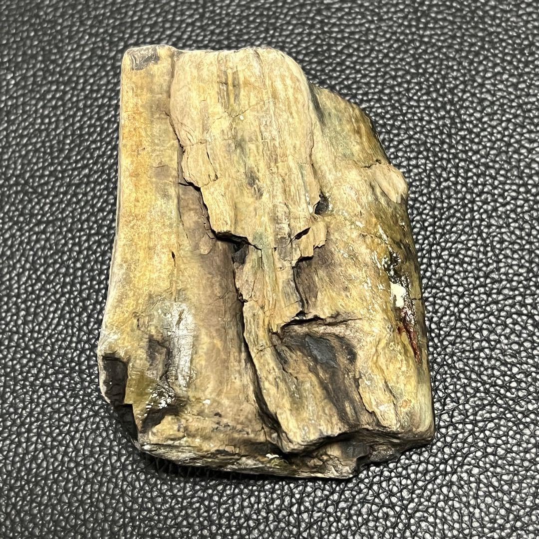 Amazon.co.jp: 珪化木 化石木 ペトリファイドウッド 福岡県産No.96