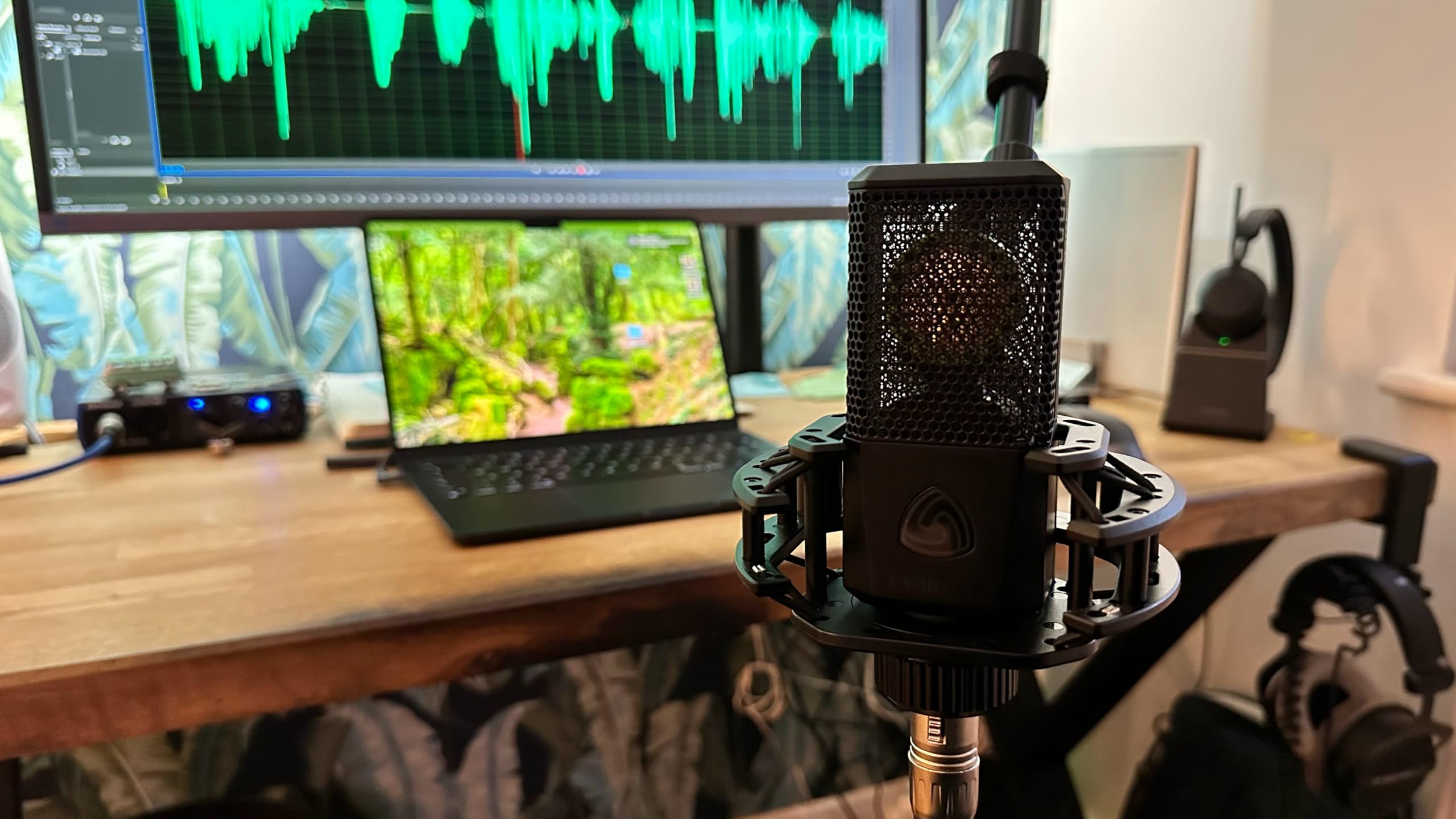 Amazon.co.jp: Lewitt LCT 440 PURE コンデンサーマイク オンステージ