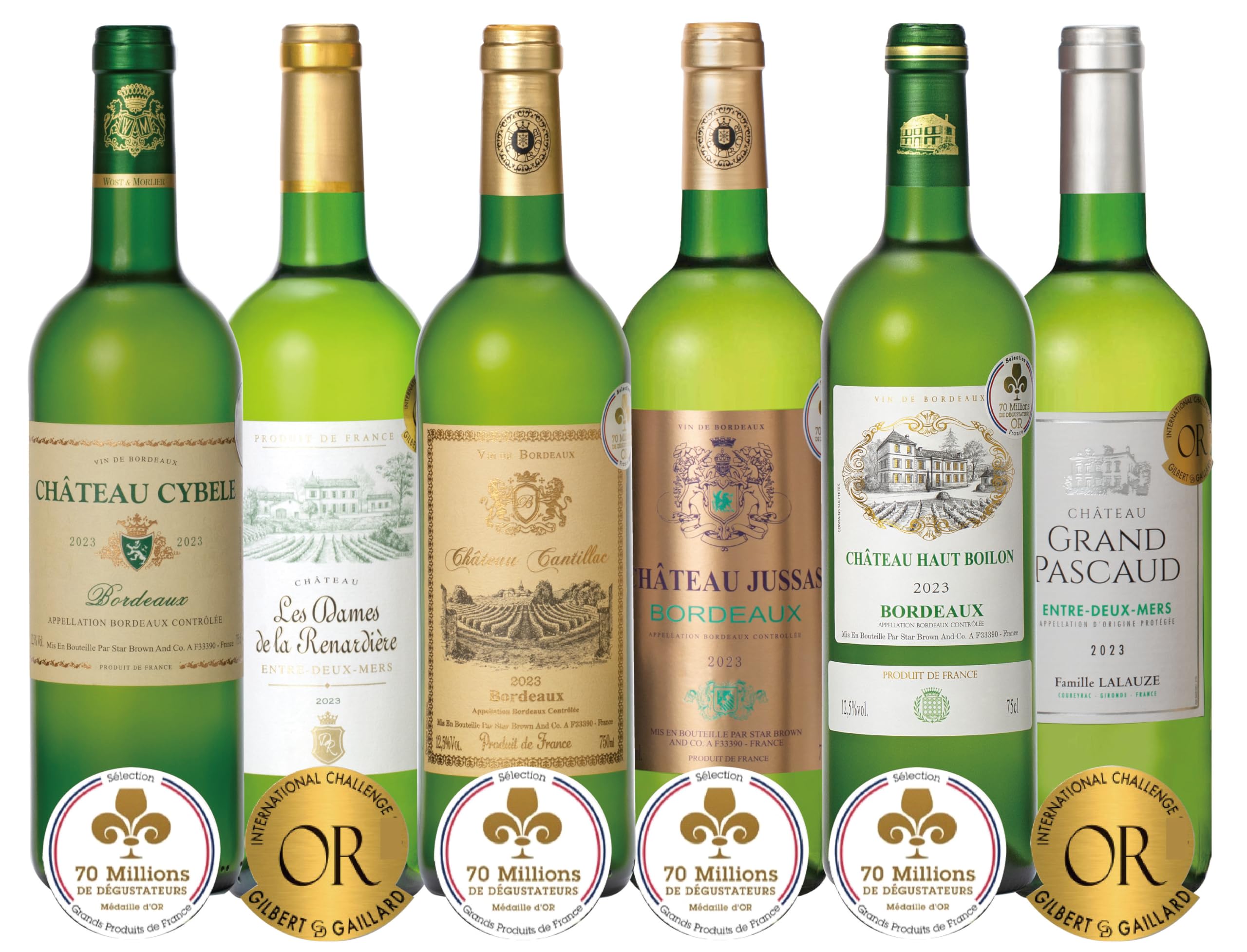 Amazon.co.jp: ALL金賞(格上入)白ワイン6本セット 飲み比べフランス