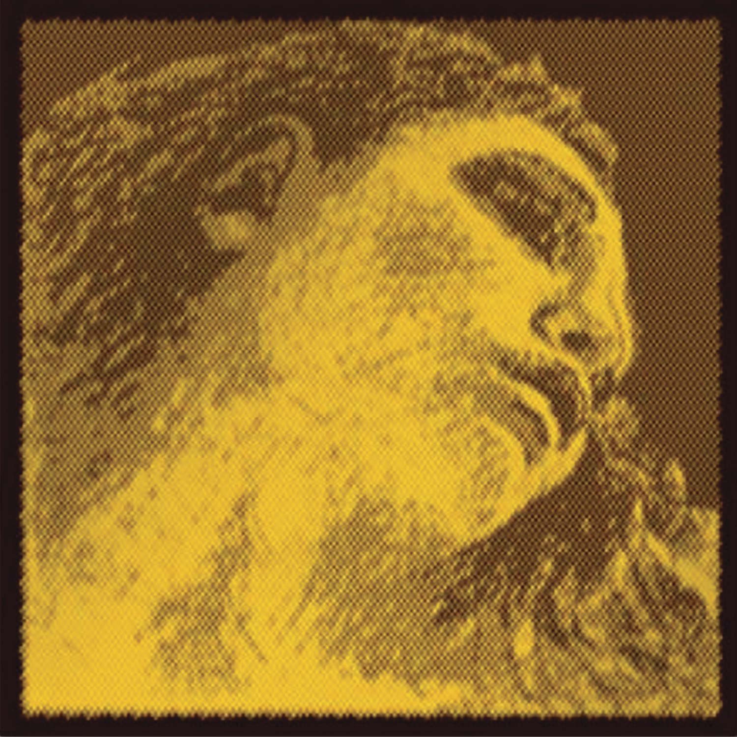 Amazon.com: Pirastro Evah Pirazzi Gold Violin String Set - Silver