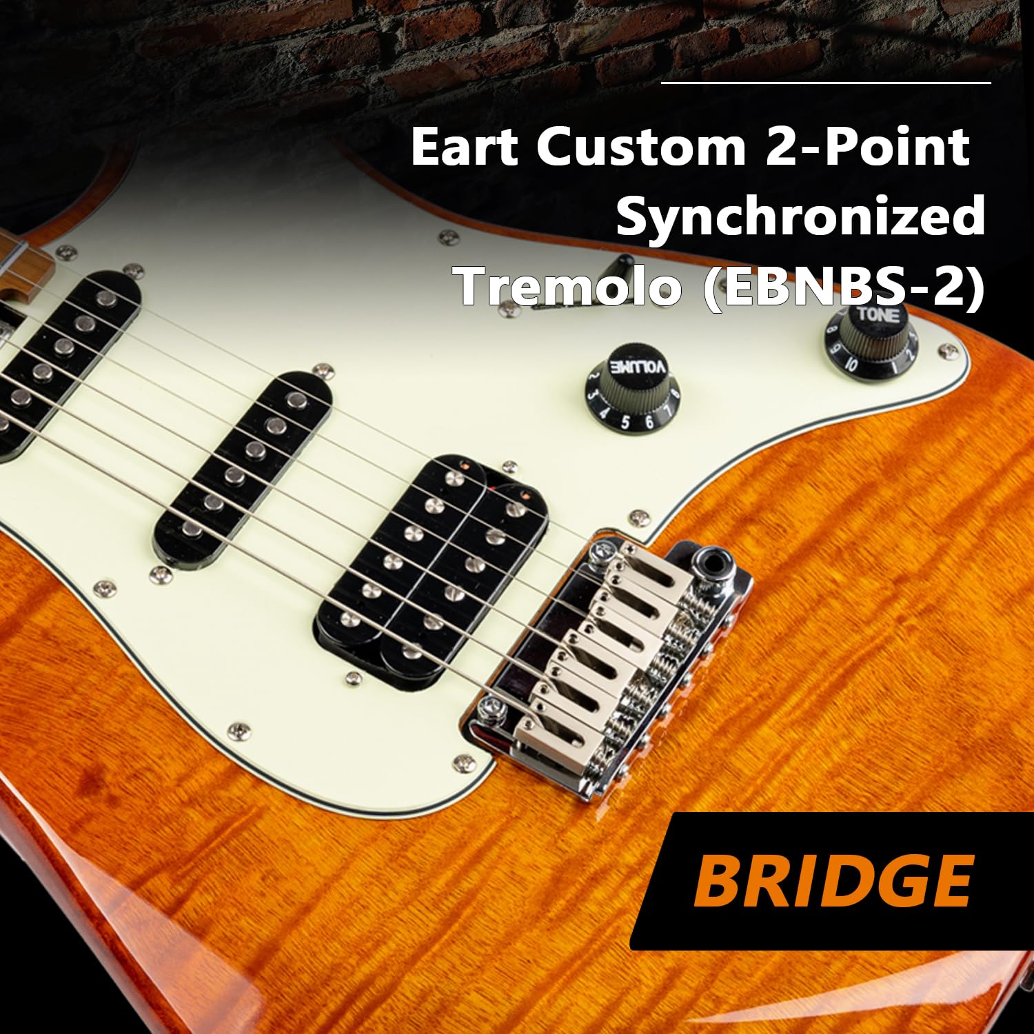 Amazon | EARTエレクトリックギター、6弦メイプル指板ソリッドボディ右