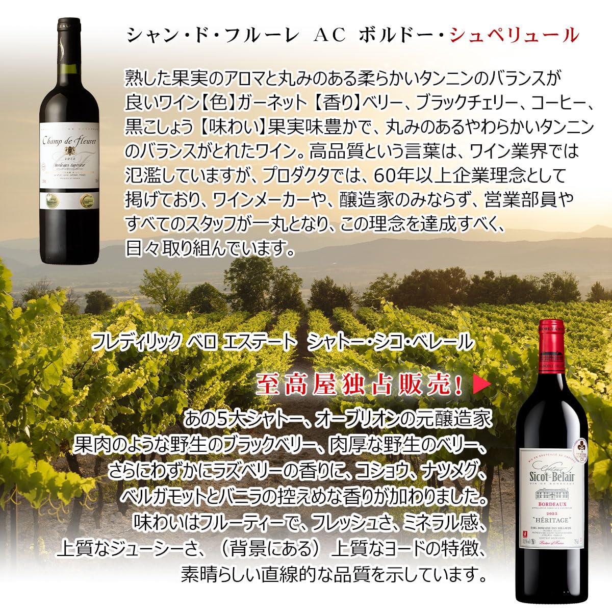 Amazon.co.jp: 新 赤ワインセット 旨い！【“ワイン通”向け】 フランス