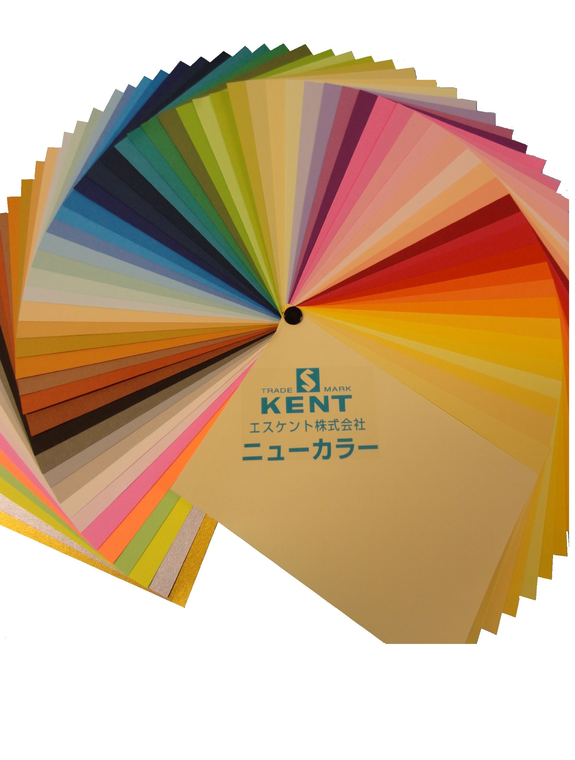 Amazon | エスケント 色画用紙 A4 ふじいろ 100枚 221706 | 色画用紙