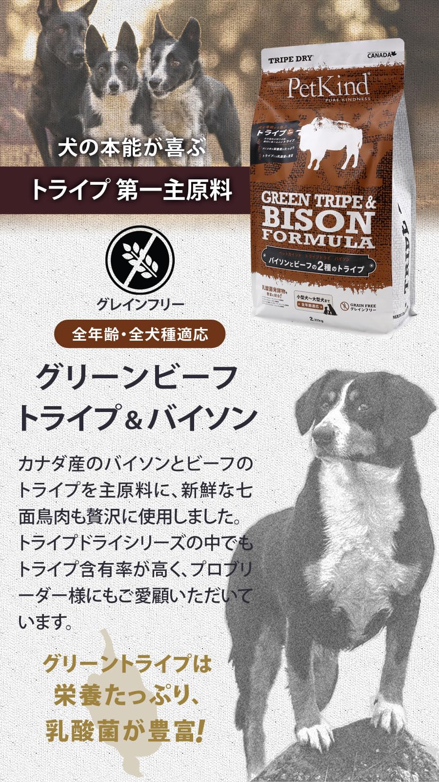 Amazon.co.jp: ペットカインド トライプドライ グリーントライプ