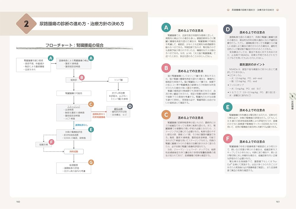 治療方針がみえてくる犬と猫の腫瘍診療 | 田川 道人 |本 | 通販 | Amazon