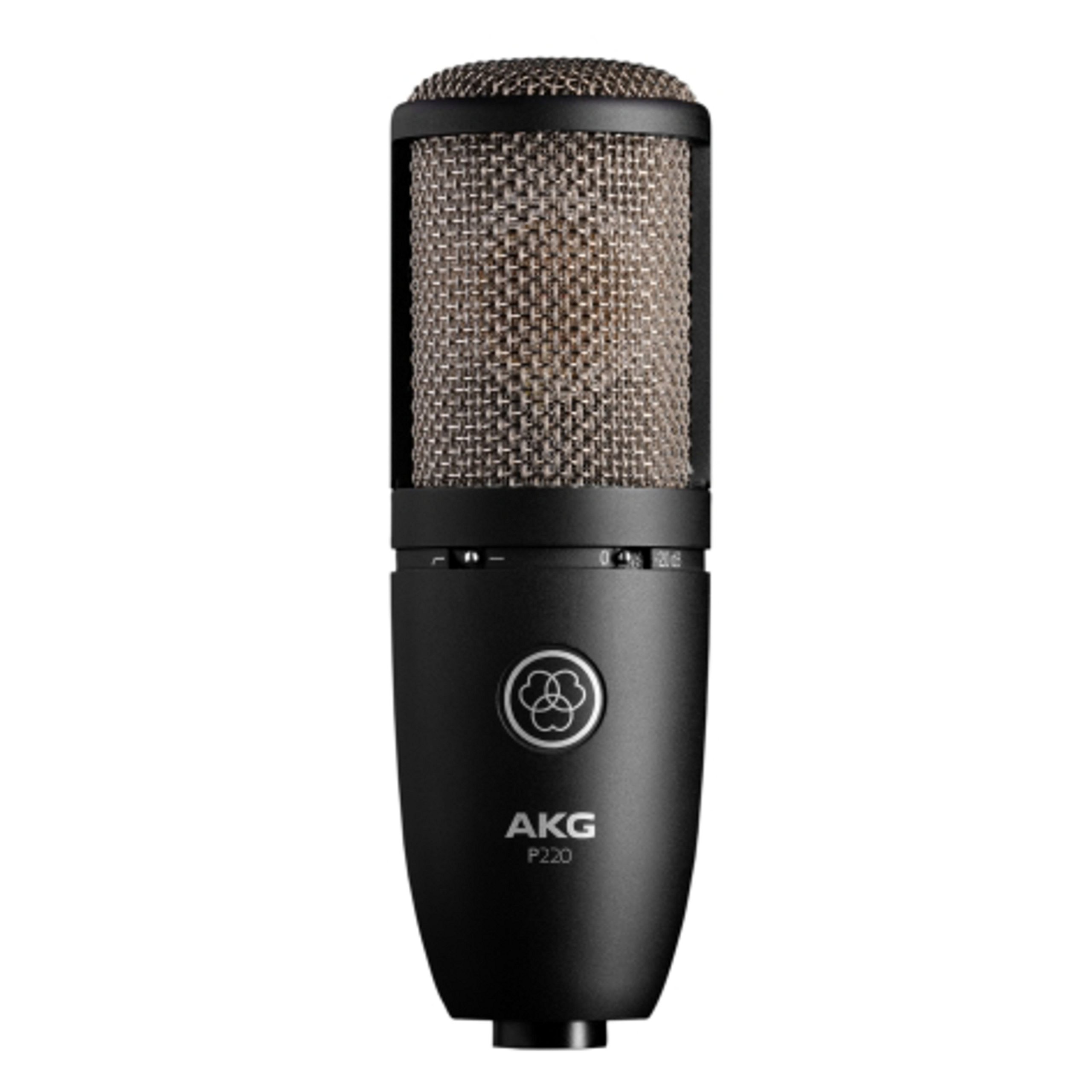 Amazon.com: AKG P220 Perception 220 Professional Studio Microphone