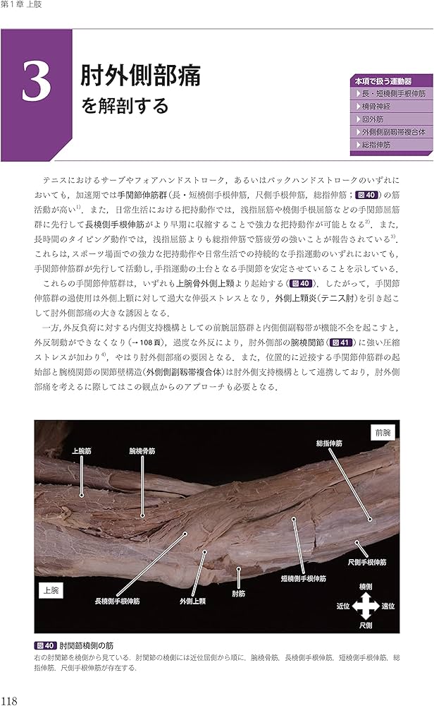 運動療法その前に! 運動器の臨床解剖アトラス | 北村清一郎, 工藤