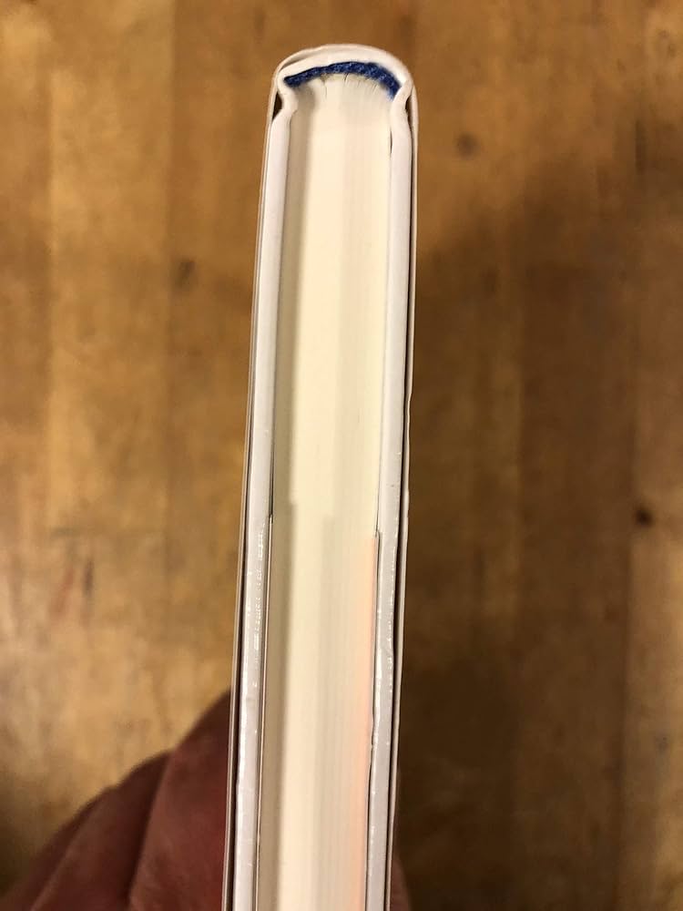 Amazon.co.jp: 遠く時の輪の接する処 : 松本 零士: Japanese Books