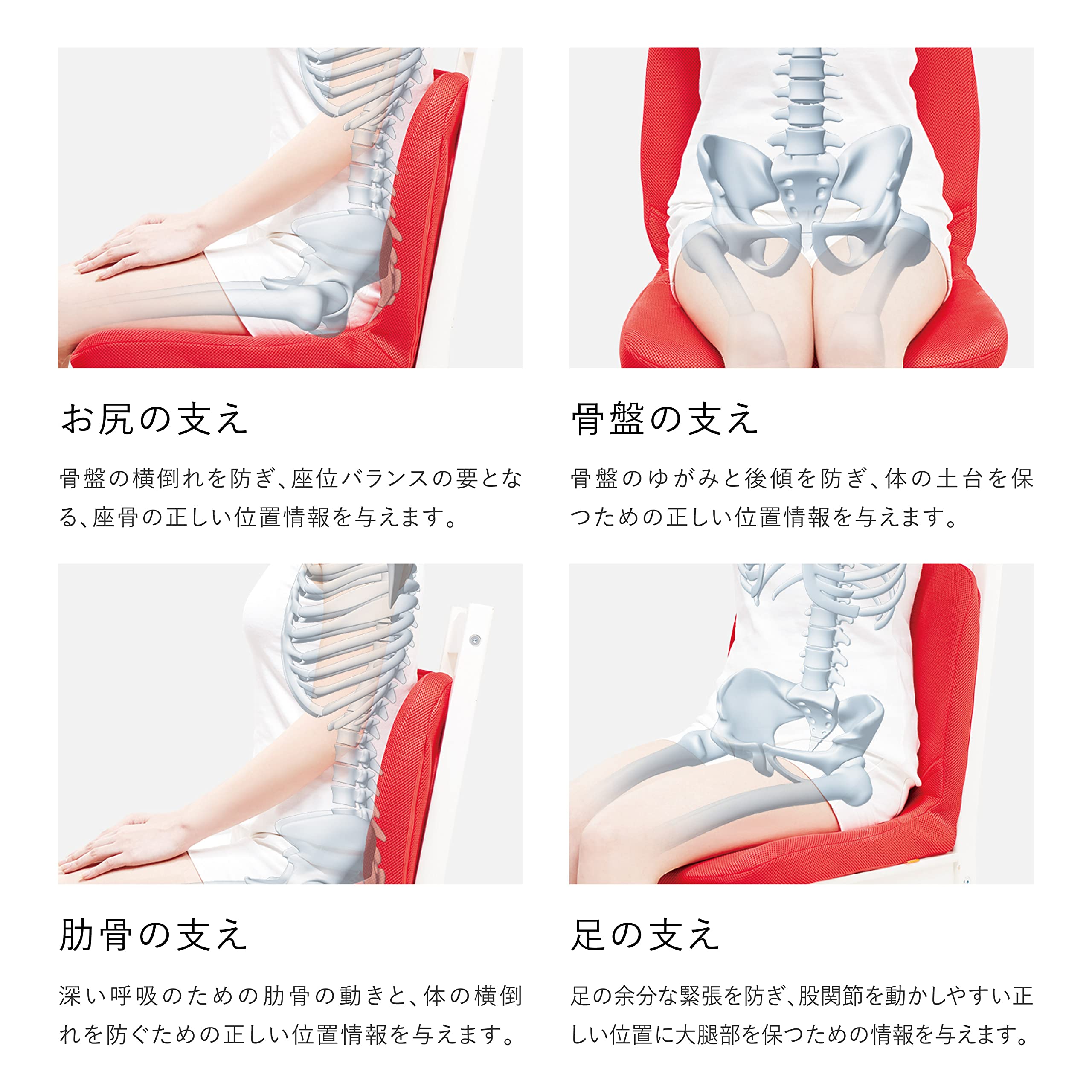 Amazon.co.jp: p!nto【正規品】 正しい姿勢の習慣用座布団 クッション