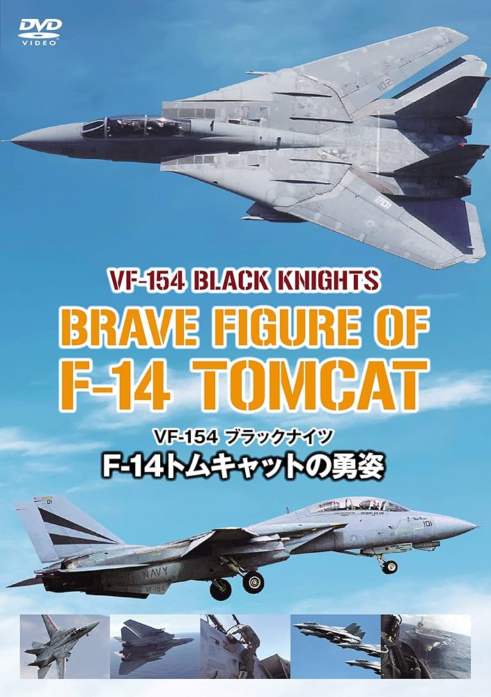 VeryHot製 VFA-154 BLACK KNIGHTS“ディカプリオ似 ” VeryHot製 VFA-154