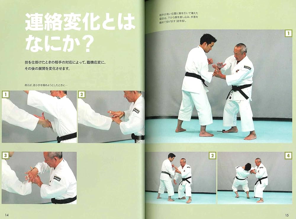 81WgKVJnRsL._AC_UF1000,