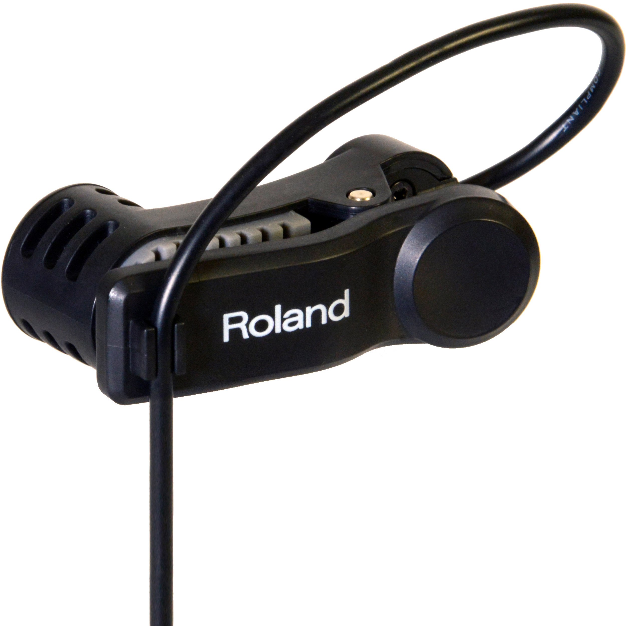 Amazon.com: Roland EC-10M El Cajon Mic Processor with 1 Year Free