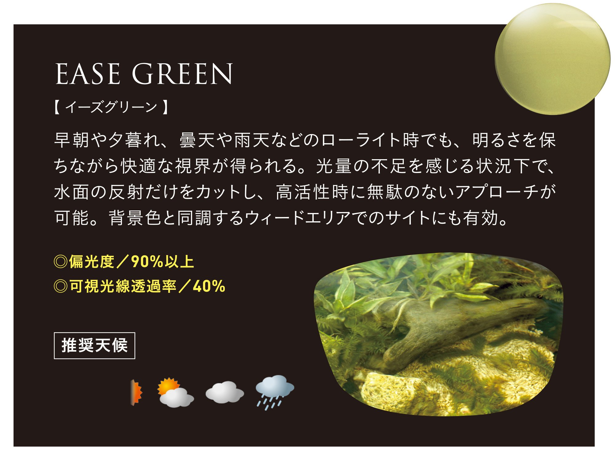 Amazon | Zeque(ゼクー) 偏光サングラス Vanq X(ヴァンクエックス) F