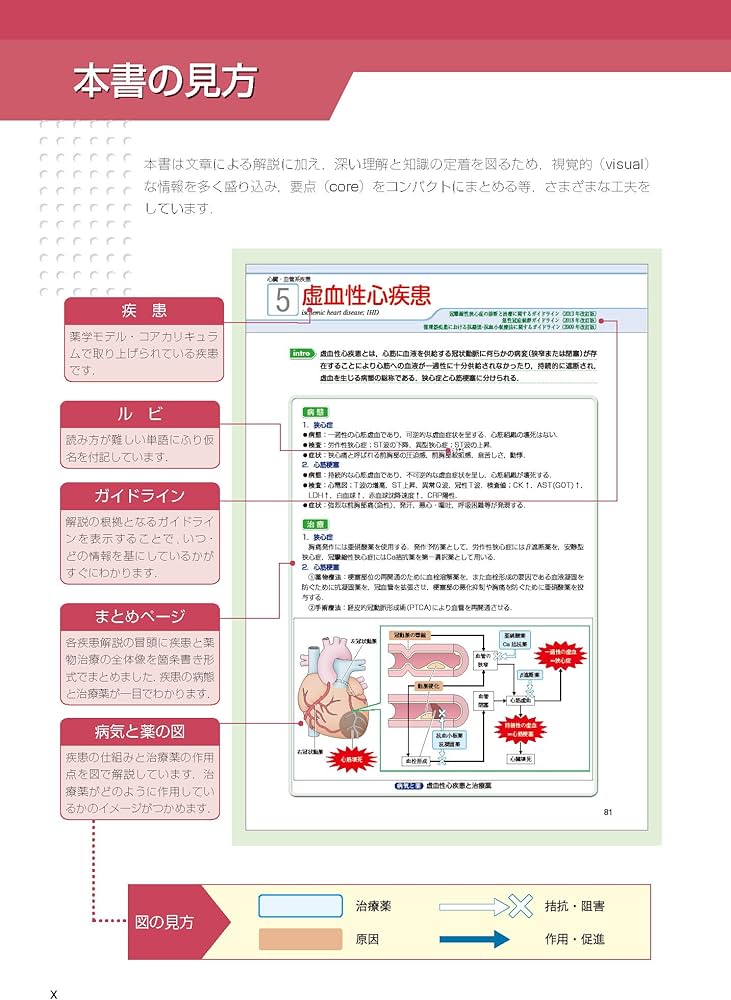 visual core pharma 薬物治療学 | 吉尾 隆 |本 | 通販 | Amazon