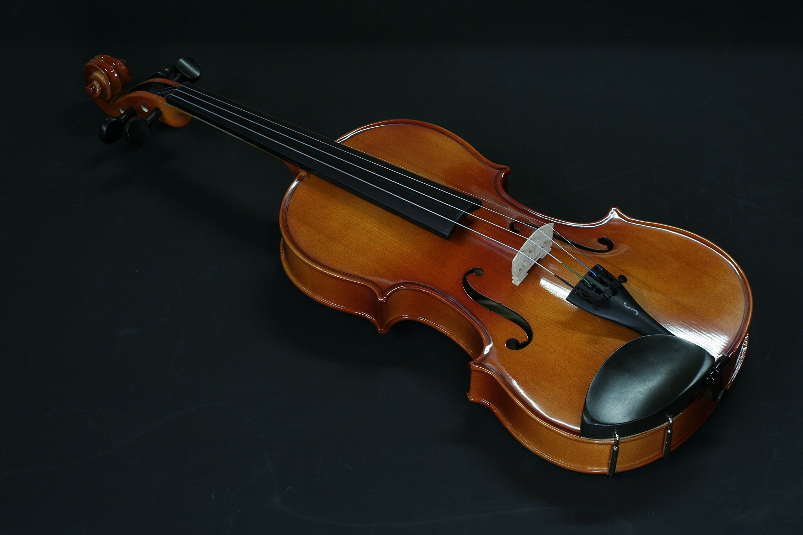 Amazon.co.jp: STENTOR ステンター バイオリン アウトフィット 4/4