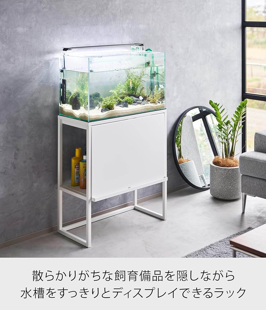 81lEcs+xyAL._AC_UF1000,