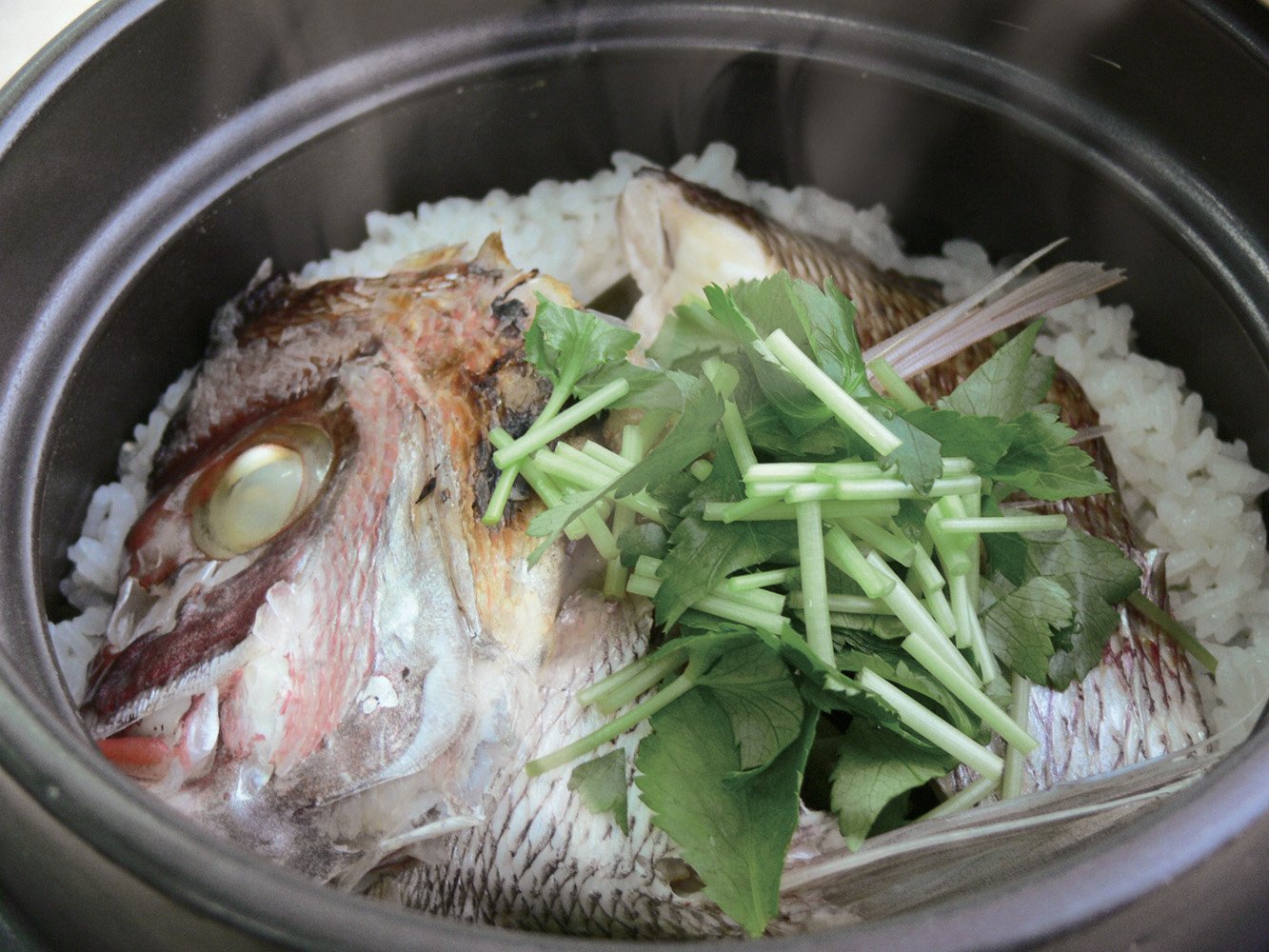 Amazon｜スズ木,萬古焼 羽釜 ごはん鍋 三合炊き (しゃもじ・敷板・簡単