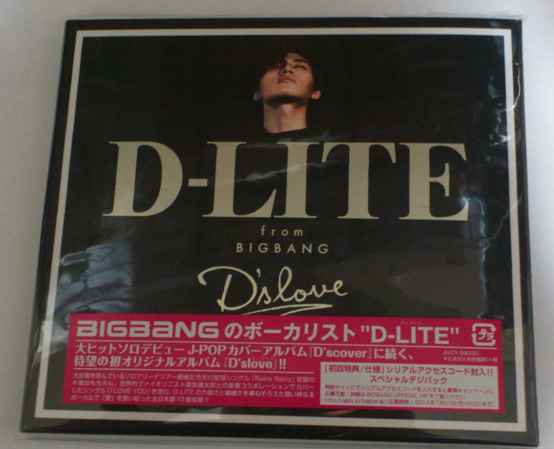 BIGBANG D-LITE テソン DVD&CD うちわ付き11点 BIGBANG D-LITE テソン