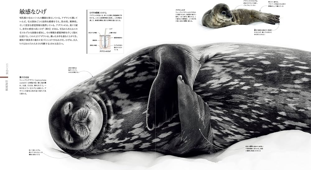 OCEAN LIFE 図鑑 海の生物 | スミソニアン協会, ロンドン自然史博物館