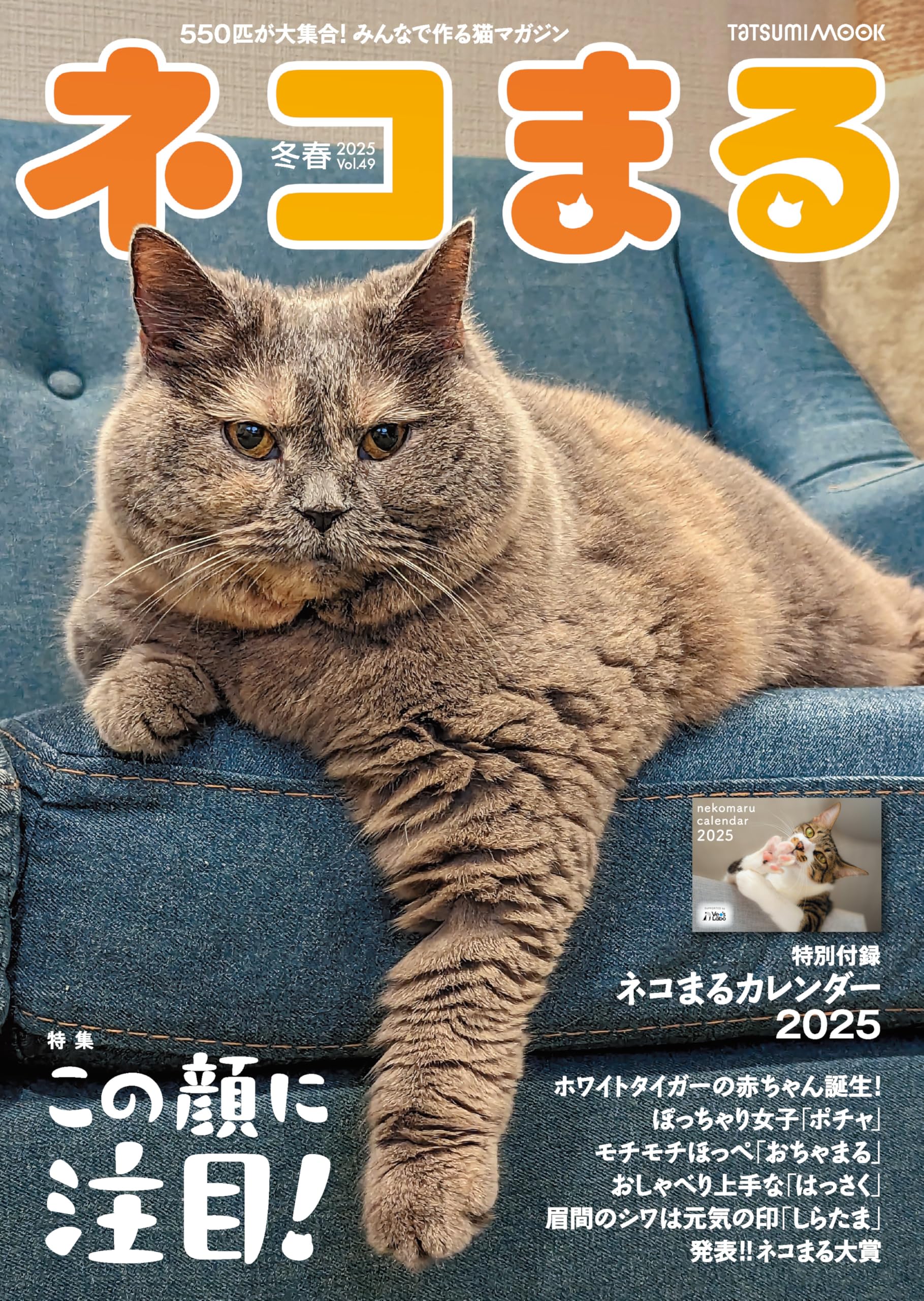 ネコまる 2025年冬春号 vol.49 (タツミムック) | 猫びより編集部 |本
