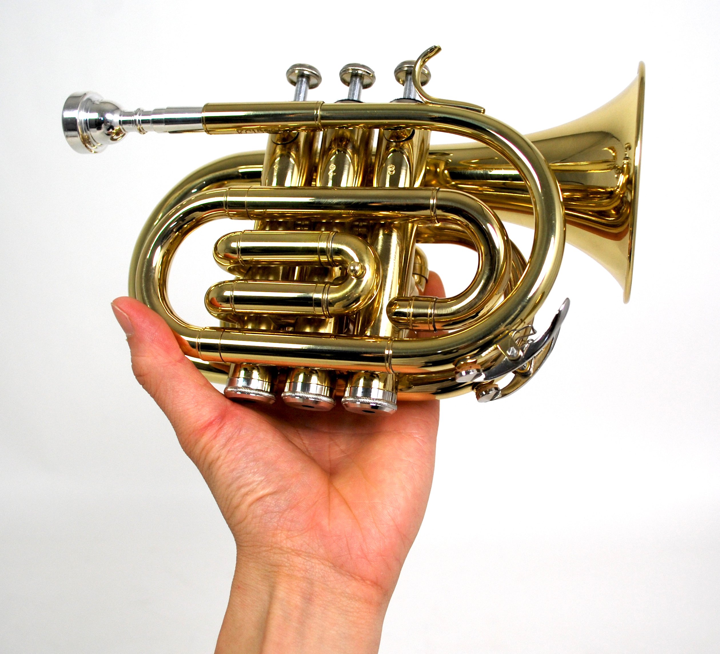 Amazon.co.jp: Kaerntner ケルントナー ポケットトランペット KTR-33P