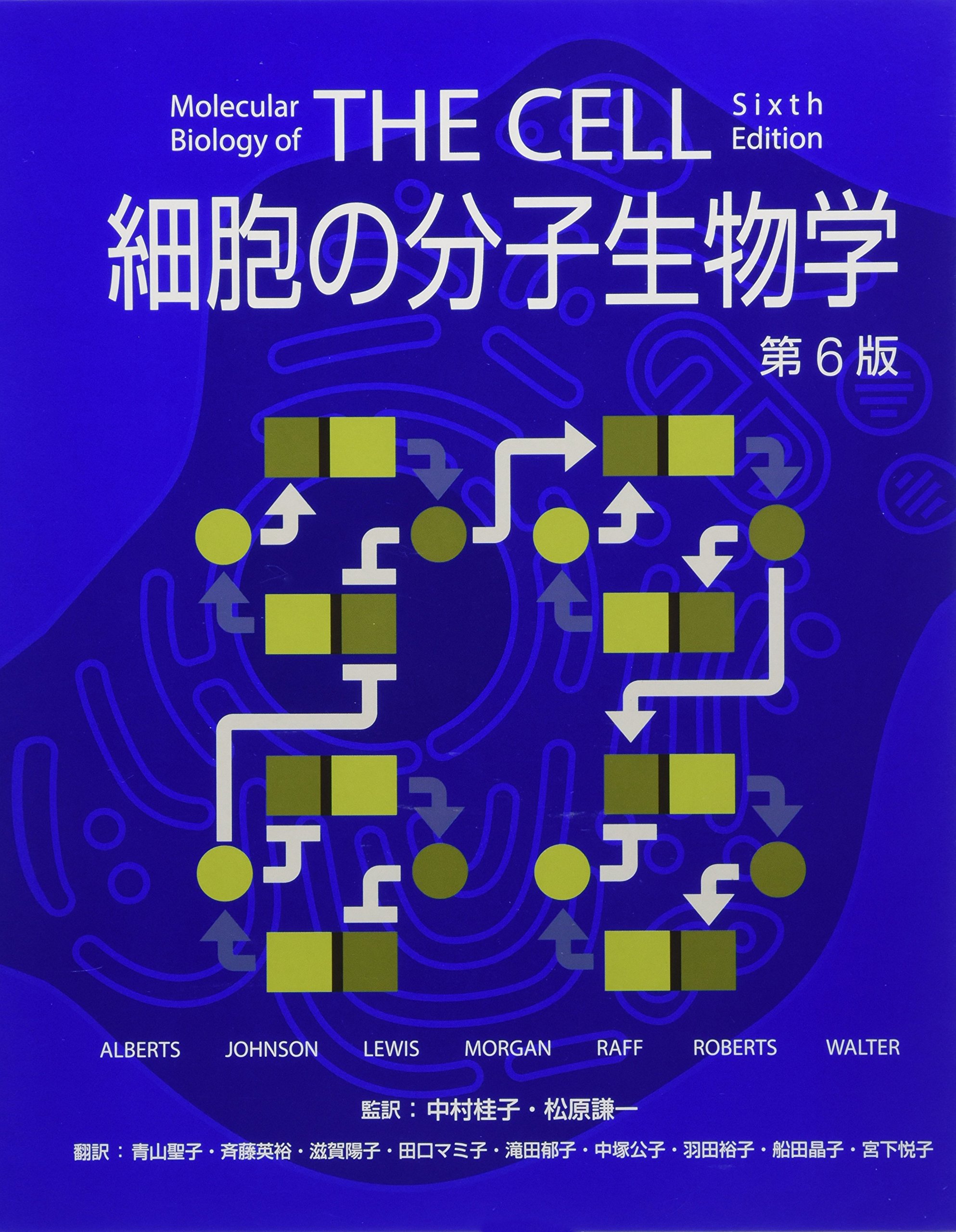 細胞の分子生物学 第6版 | ALBERTS, JOHNSON, LEWIS, MORGAN, RAFF
