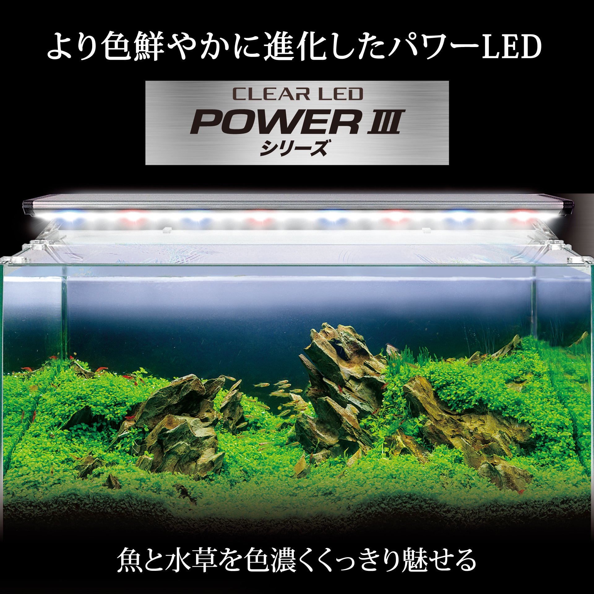 Amazon | ジェックス GEX クリアLED POWER III 1200 明るさ2,000lm 色