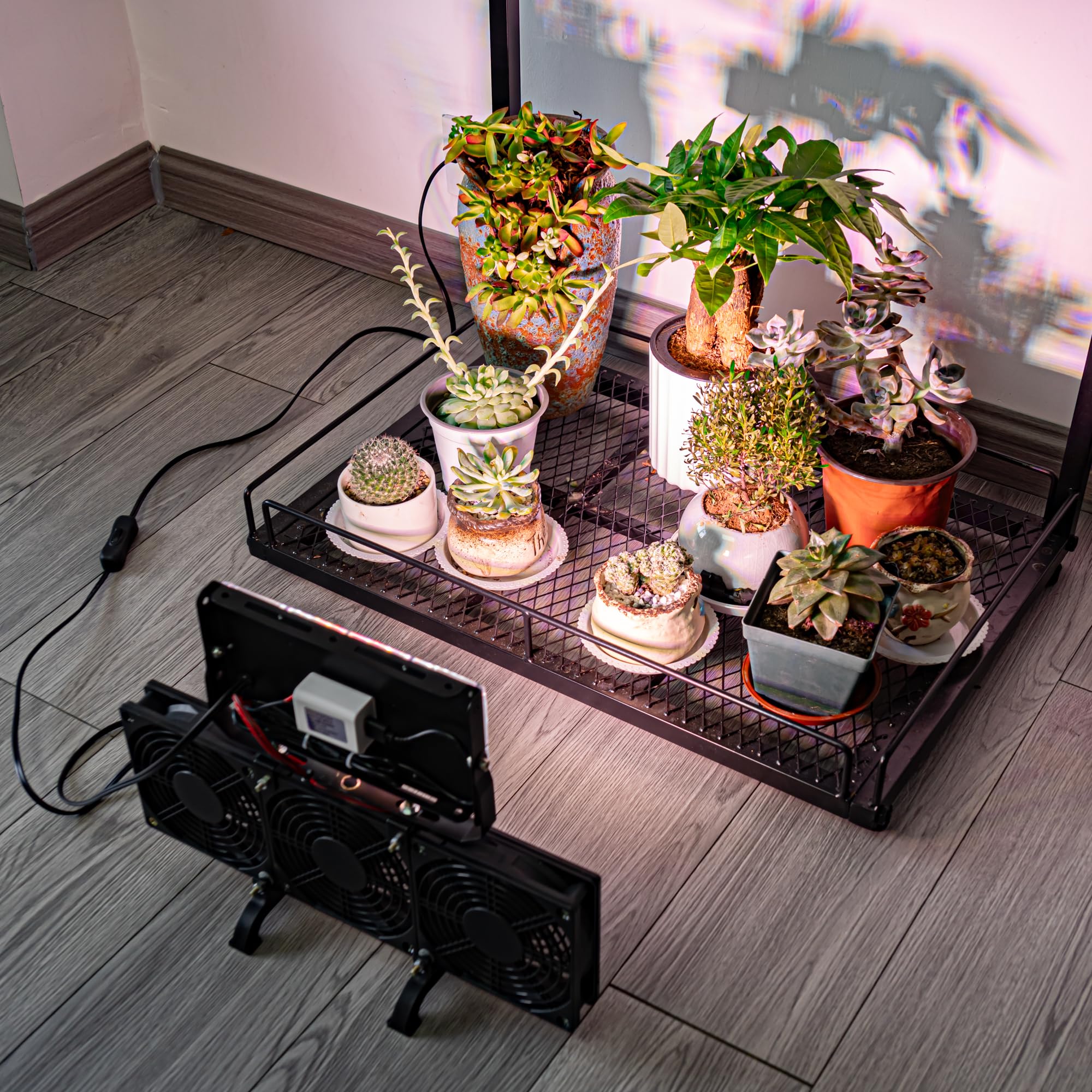 Amazon.co.jp: STGGTS 植物育成用送風機 植物育成用ライト 植物用