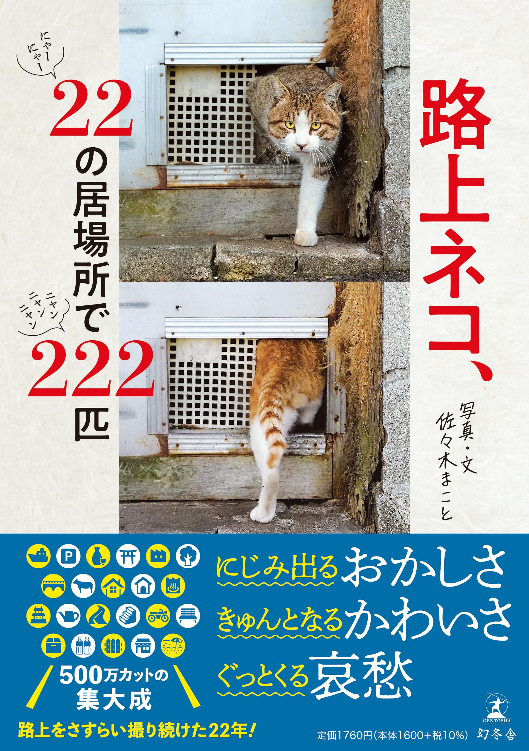 路上ネコ、22の居場所で222匹 | 佐々木 まこと |本 | 通販 | Amazon