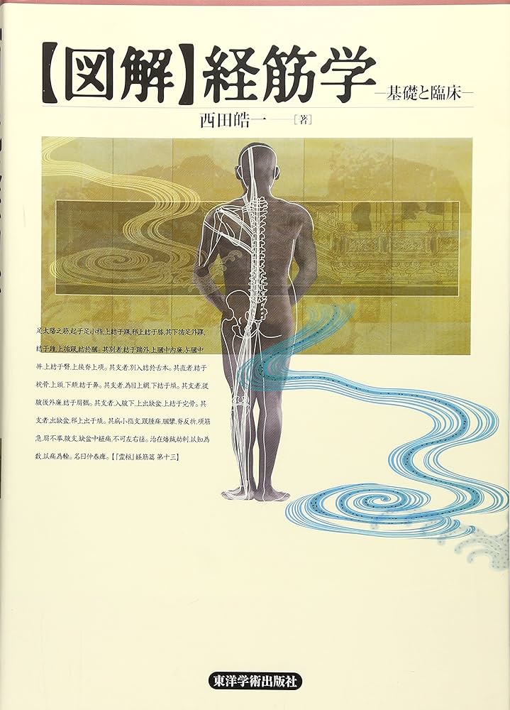 図解〉経筋学: 基礎と臨床 | 西田 皓一 |本 | 通販 | Amazon